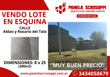VENDO LOTE EN ESQUINA, GENERAL RAMIRE, ENTRE RIOS